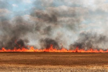MADR: Ordinul privind stingerea incendiilor agricole, abrogat