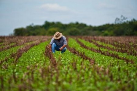 Ordonanta Militara nr. 8 - masuri pentru agricultori si comercianti