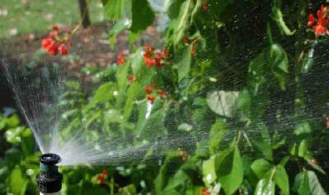 Oros, MADR: Am pregatit 6 miliarde de euro pentru irigatii, desecare, drenaj si prevenirea eroziunii