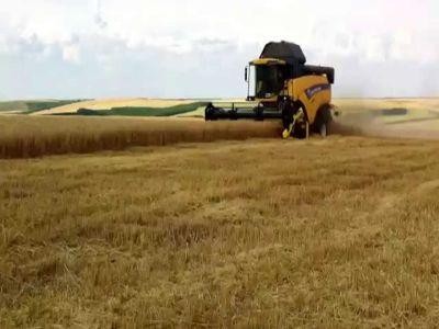 Orzul de toamna in fermele romanesti