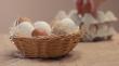 In ce conditii se poate obtine oul ecologic?