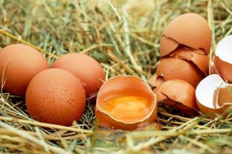 Directorul companiei care a vandut insecticid cu fipronil, condamnat la inchisoare