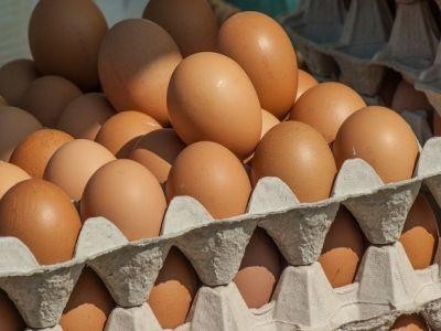 Doua noi sortimente de oua, lansate de compania Agricola