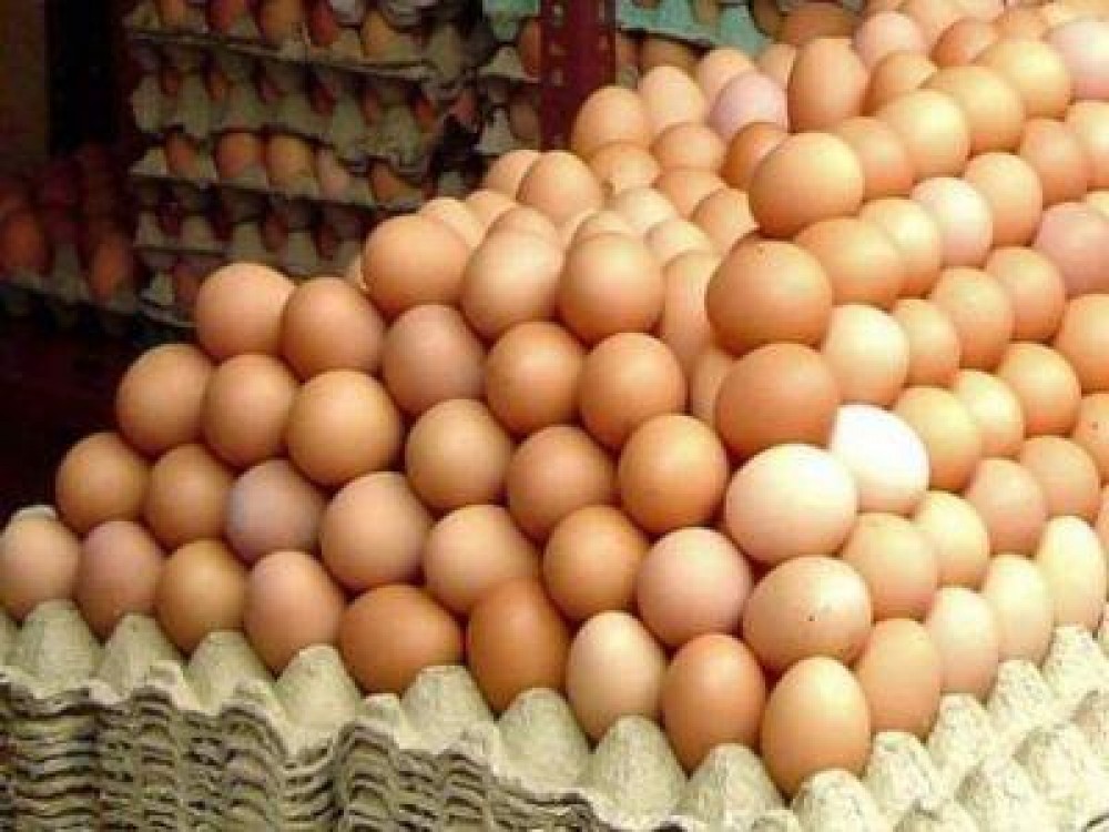 Crescatorii de pasari estimeaza ca vor vinde intre 170 si 180 de milioane de oua in perioada Pastelui