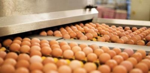 Ce produse agroalimentare s-au scumpit anul trecut cel mai mult in Romania
