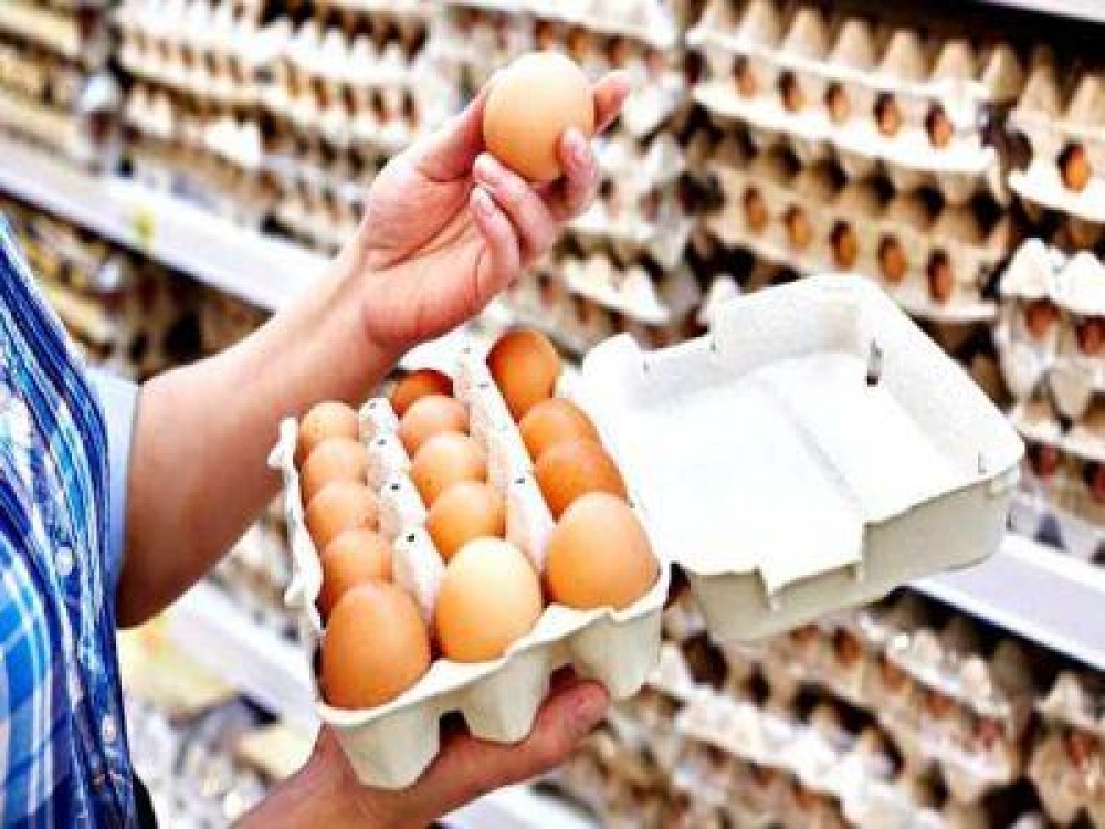 Crescatorii de pasari se plang de pretul scazut al oualor