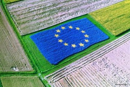Romania va primi 21 de miliarde de euro pentru agricultura de la UE