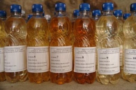 Festivalul Palincii de la Satu Mare a reunit peste 50 de producatori veniti din toata tara