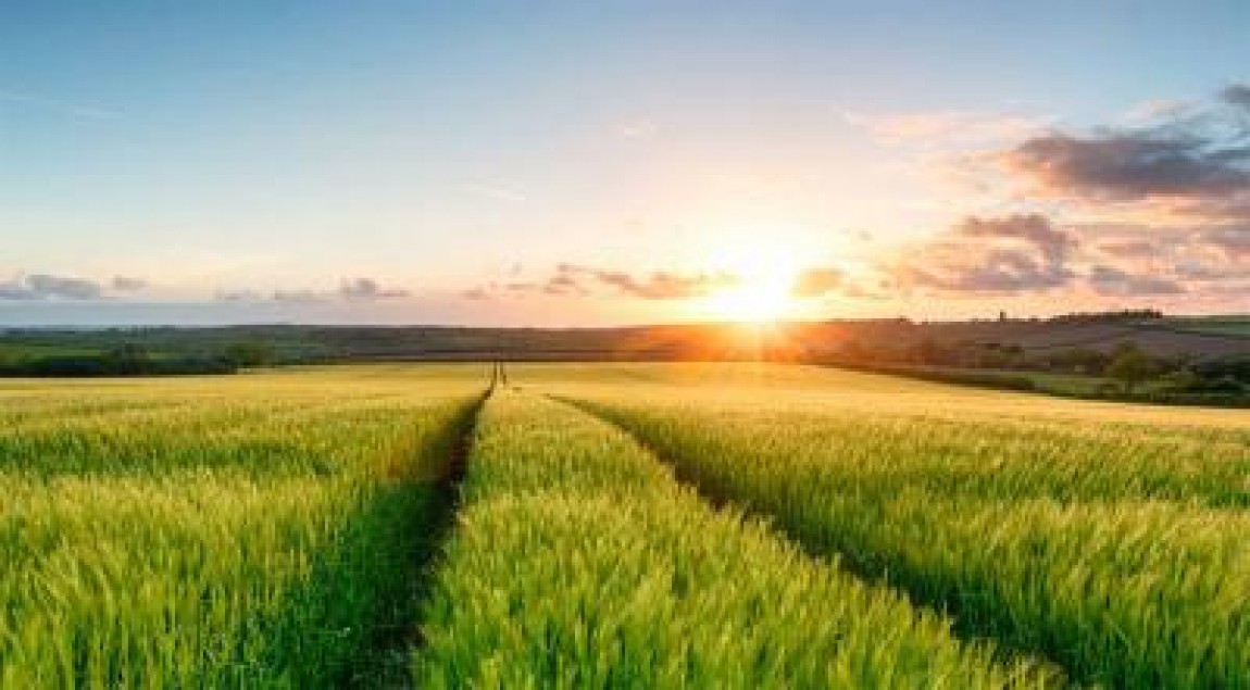 Ministrul Agriculturii va oferi teren de la ADS tinerilor fermieri