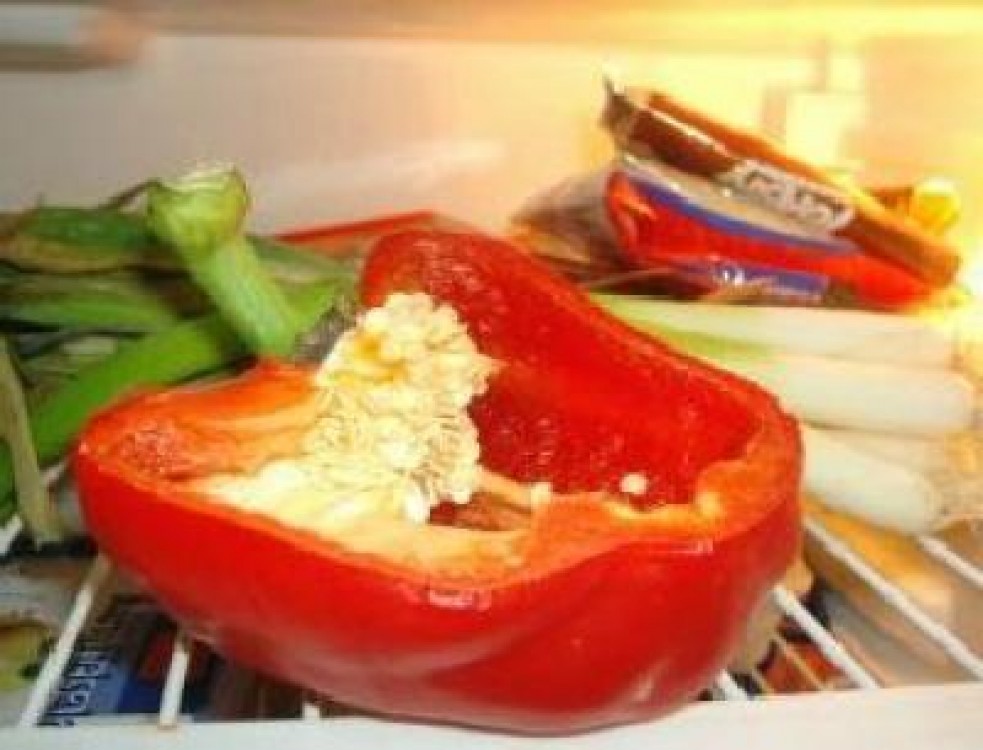 ANSVSA: Recomandari pentru pastrarea alimentelor in perioadele caniculare