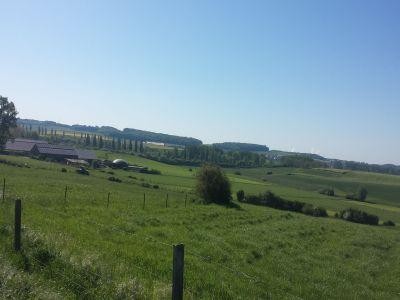 Pasunile montane, ameliorate dupa model elvetian