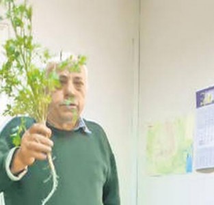 Asa arata patrunjelul de un metru saptezeci!