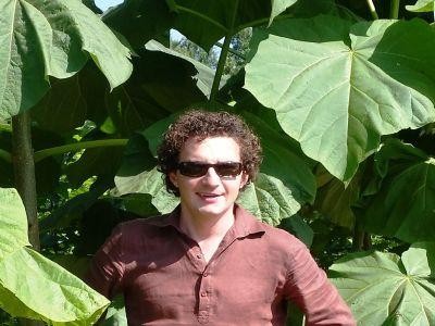 Paulownia - Arborele Inteligent