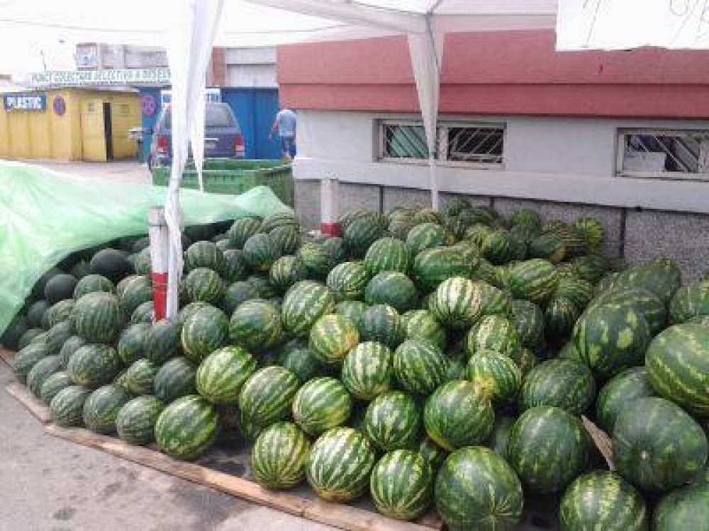 Producatorii si comericantii, obligati sa isi eticheteze pepenii scosi la vanzare