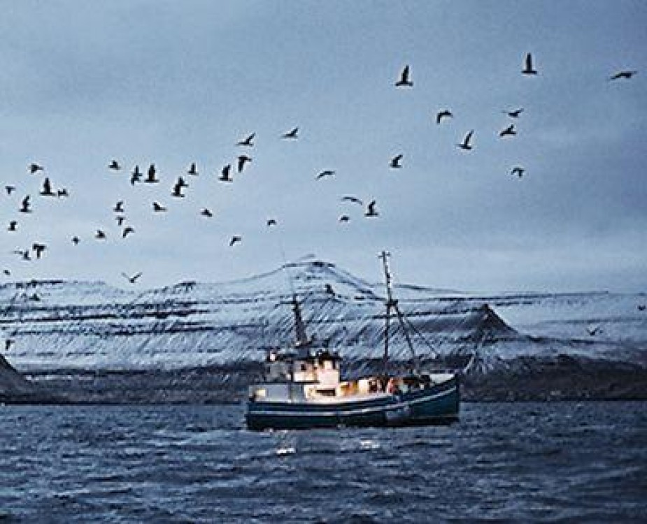 Comisia Europeana ii sanctioneaza pe pescarii feroezi