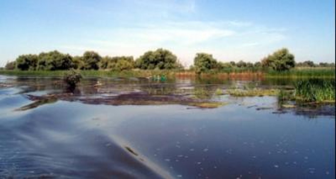 Pescarii din Delta trebuie sa depuna din 15 aprilie cererile pentru autorizare