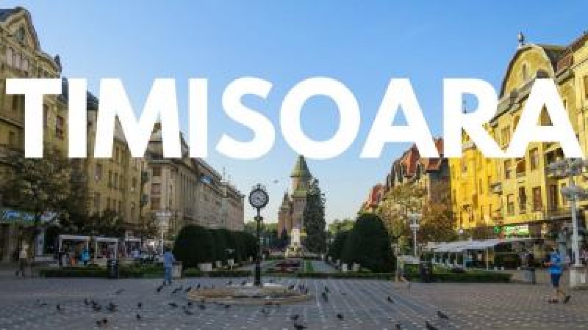 Pesta porcina africana se extinde in Timisoara