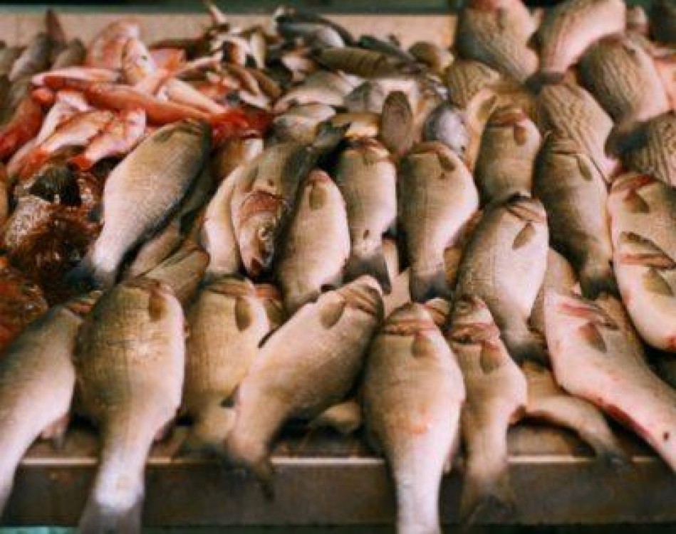 ANSVSA ii controleaza in aceasta saptamana pe comerciantii de peste si produse din peste