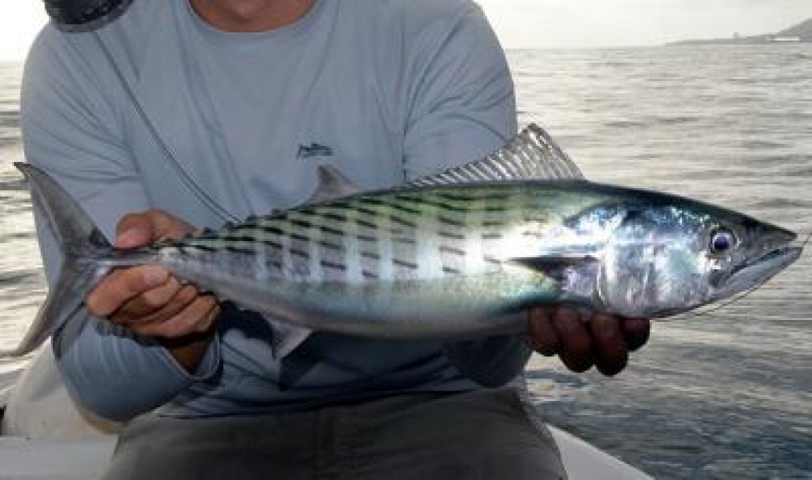 FEPAM 2021 - 2027 va fi imbunatatit