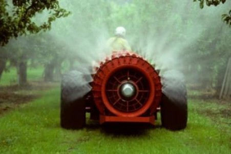 Inspectorii sanitar-veterinari monitorizeaza nivelul pesticidelor din fructe si legume