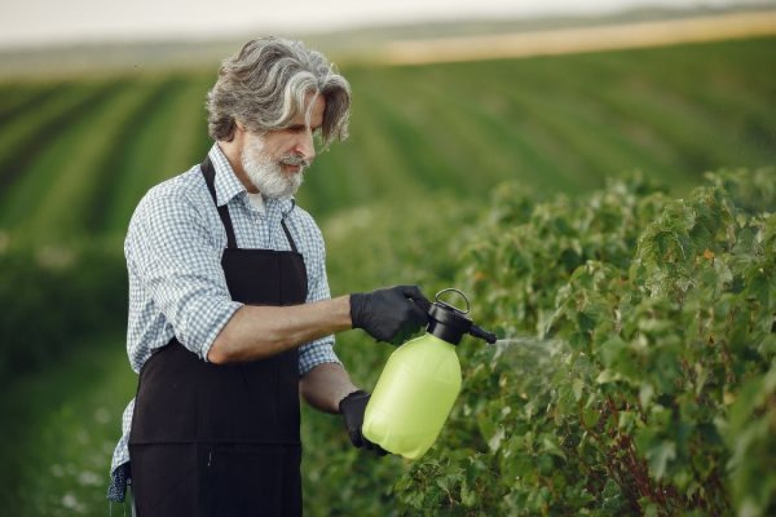 MADR: O noua aprobare a pesticidelor neonicotinoide