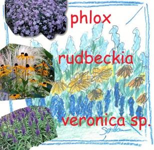 Mai e puțin până în iunie: Fă-ți planul grădinii de vară cu rudbeckia, phlox și veronica