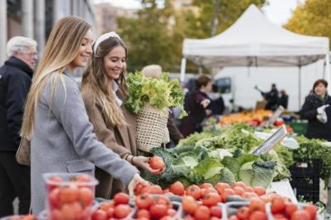 Piata publica pentru fermierii care cultiva ecologic, construita de MADR