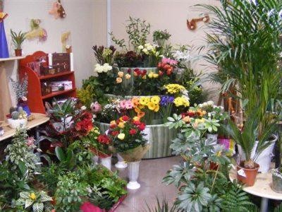 Statistici piata florilor 2012