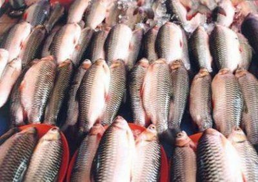 Piata de peste construita din fonduri europene, la Navodari