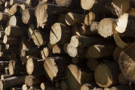 Adaptabilitatea, principala calitate a pieselor de drujba Husqvarna