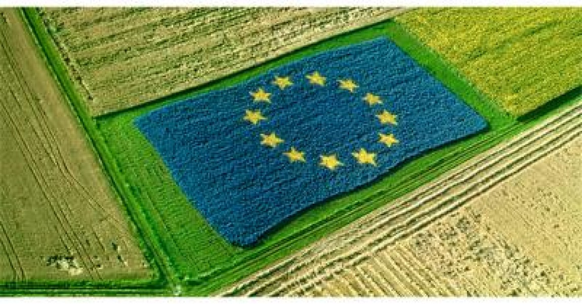 MADR: Romania nu poate accepta plafonarea platilor in noua PAC