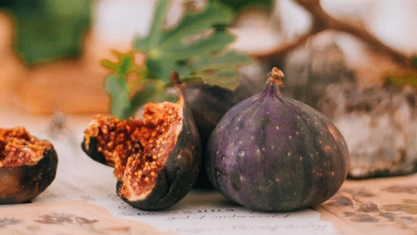 Cand se planteaza smochinul: perioade ideale, conditii corecte si pasi practici pentru o cultura reusita