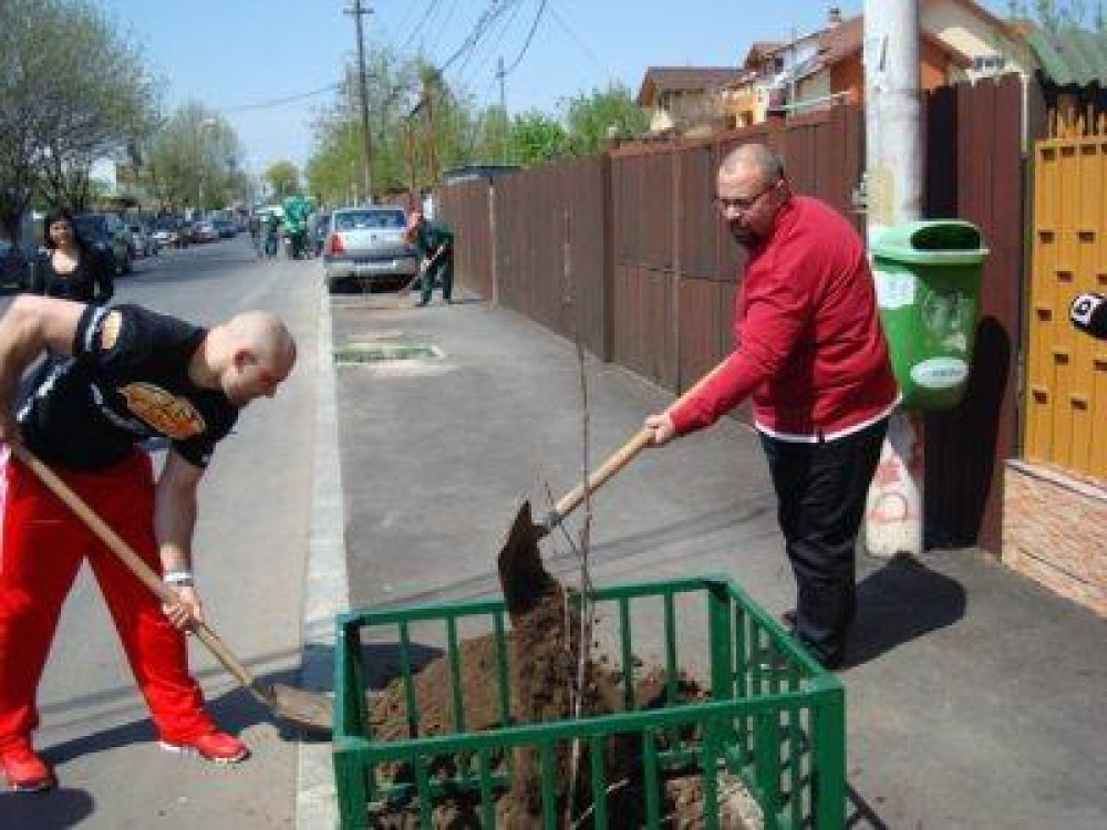 Sectorul 4 din Capitala a sarbatorit Ziua Pamantului plantand 200 de platani