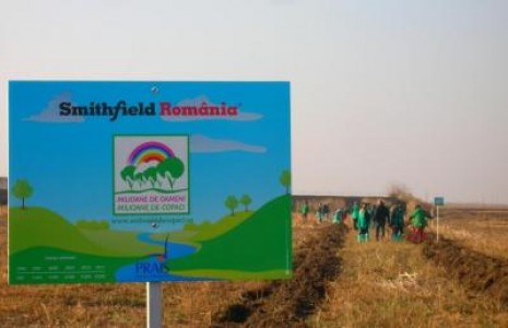 Peste 21.000 de copaci plantati de voluntari Smithfield  in judetele Timis si Arad