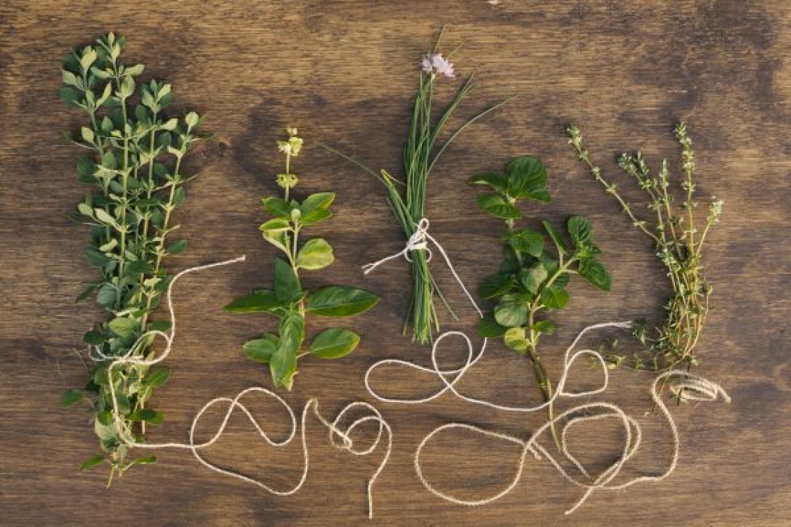 21 de Plante aromatice: De la remedii naturale la retete delicioase