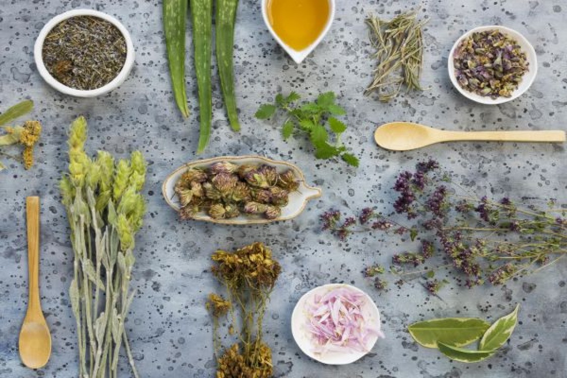 Cum se recolteaza plantele medicinale