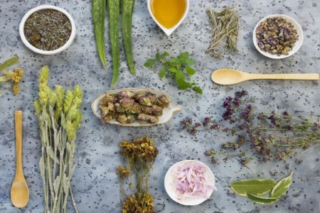 Cum se recolteaza plantele medicinale