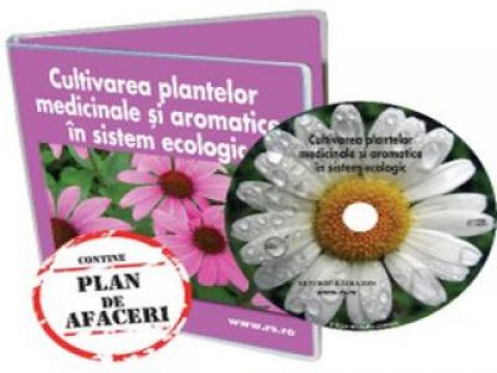 Cele mai tari idei de afaceri in 2013! Ultima sansa la fonduri europene in exercitiul 2007-2013