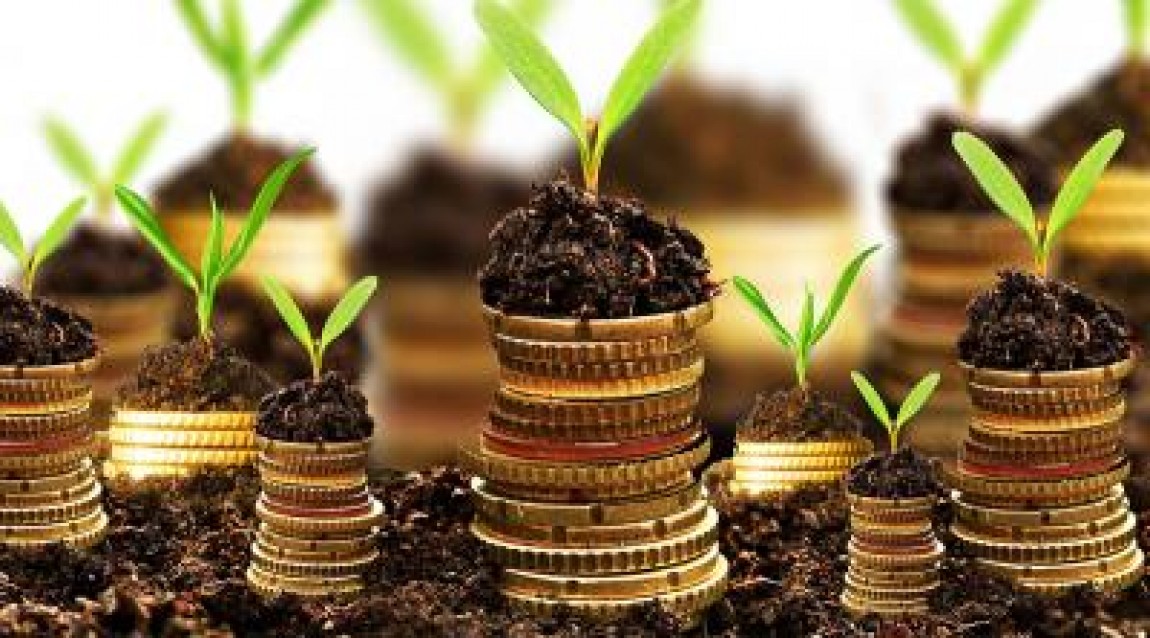 AVANS! Guvernul a rezervat 1,4 miliarde de euro pentru fermieri