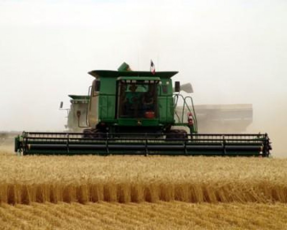 Subventiile pe suprafata au fost platite catre 97% din fermieri