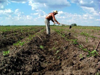 In sfarsit, un comunicat oficial: CAND se platesc subventiile catre fermieri