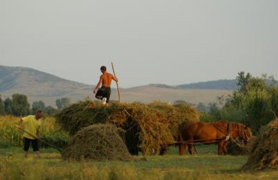 Plata actualizata a zilierilor in 2019