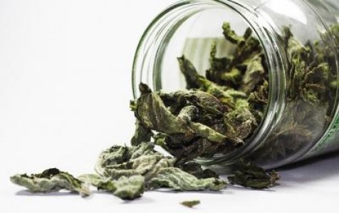 Data la care incep platile in avans si cele de dezvoltare rurala