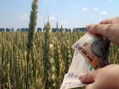 Fermierii cu suprafete intre 50 si 250 de hectare intra la plata ultimei transe a subventiei