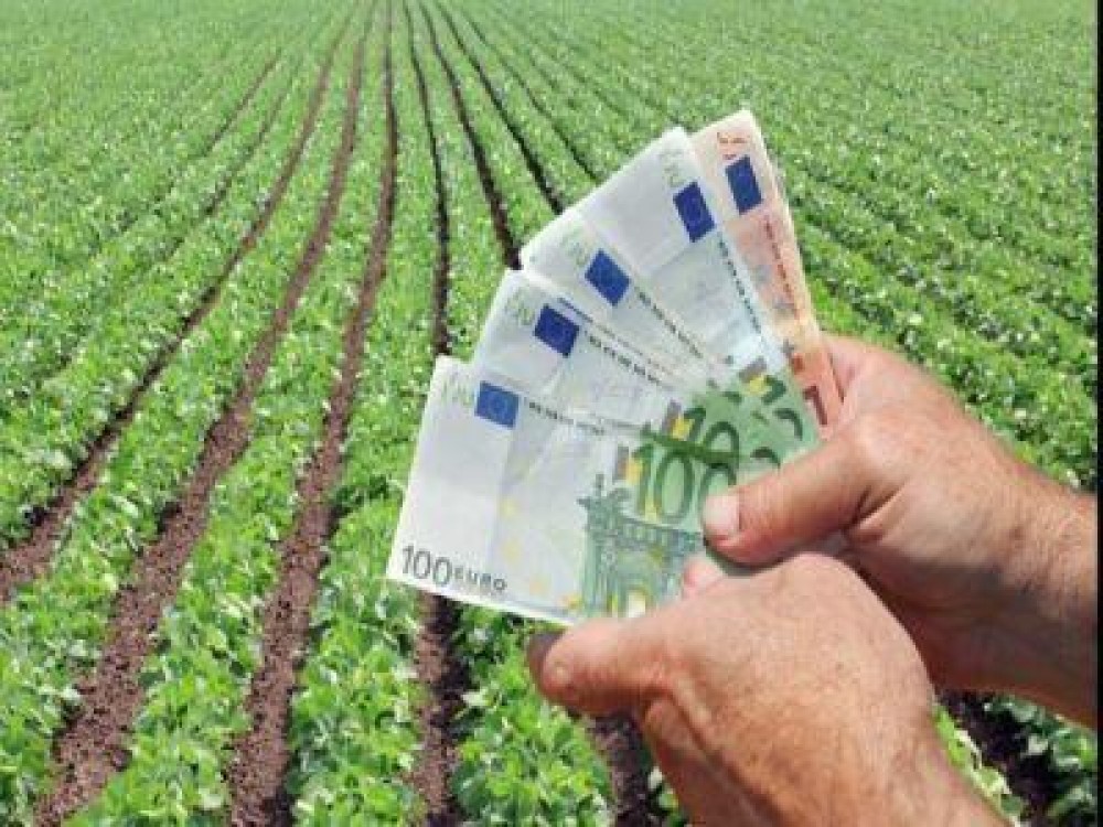 O noua subventie pentru fermieri, propusa in Parlamentul European