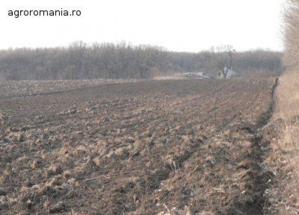 Subventia pe suprafata: APIA sustine ca au fost platiti peste 95% din fermieri