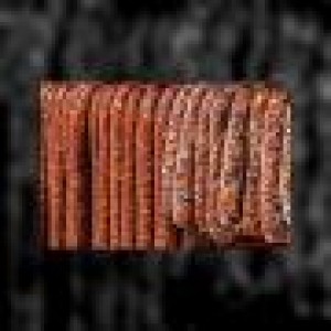 UE a recunoscut carnatii de Plescoi si i-a inclus in DOOR