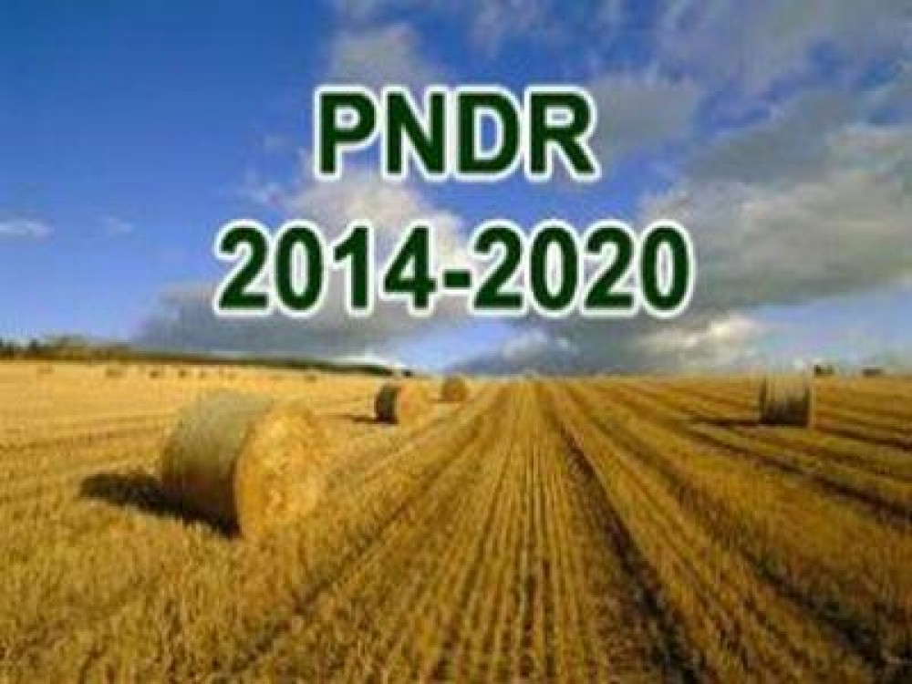 Investitiile in agricultura, in topul solicitarilor de finantare prin PNDR