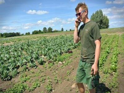 Sprijin prin PNDR pentru comasarea terenurilor, adresat tinerilor fermieri
