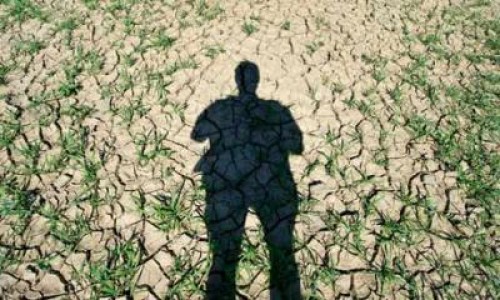 CE propune imbunatatirea normelor comune de contabilizare a gazelor cu efect de sera in silvicultura si agricultura